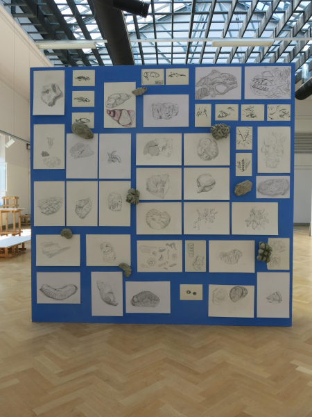 Foto's Krien Clevis: opbouw en tentoonstelling